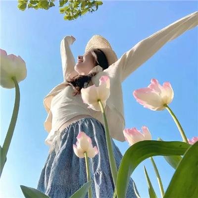 鸡蛋救援