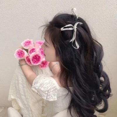 正义秘使